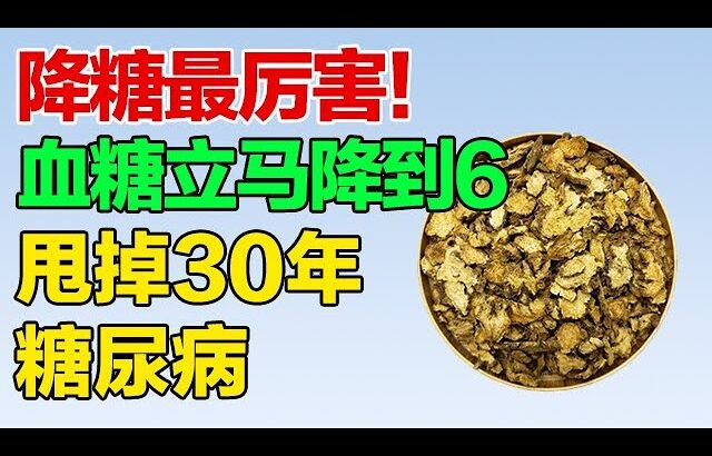 一味中药，巧降血糖！坚持用下去，让你告别糖尿病【养生大中医】