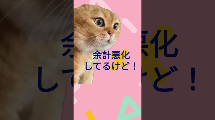 家の恥さらしはしない#糖尿病 #ネタ #猫ミーム #約束