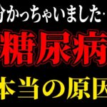 糖尿病はインスリンの病気ではありませんでした…。最新研究で分かった糖尿病の本当の原因を徹底解説します