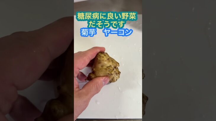 糖尿病に良い野菜だそうです菊芋とヤーコン