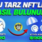 300$ lık NFT 9.000$ Airdrop Attı (2 haftada ) ! Bu tarz NFT ler Nasıl Bulunur ?