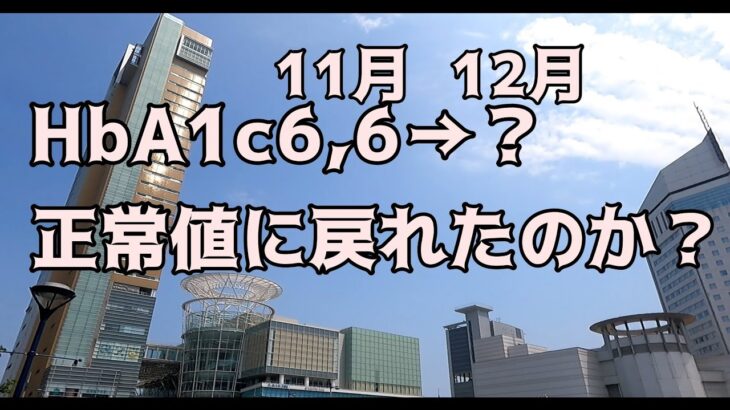 【糖尿病】米、パン、麺類を食べなくなってから4カ月経った今のHbA1cを発表します