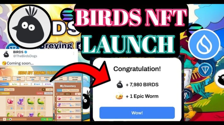 Birds Launch NFT। Birds NFT Claim। Birds Listing Exchange। Birds Airdrop Claim Onchain। Birds Mining