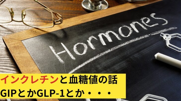 血糖値とインクレチンの話、GIP、GLP-1、糖尿病