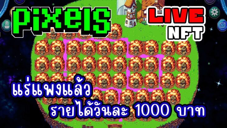 [ LIVE ] Pixel NFT + POE2 เวลเป็นหลับ ขยับเป็นง่วง EP.313