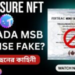 Treasure NFT Canada MSB License Fake or Real ? | Treasure NFT License Check |