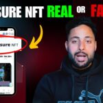 Treasure NFT  Real or Fake | Complete Research