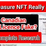 Treasure NFT licence real or fake । Complete research । Is Cappo FX inc.  TREASUREMETA CORPORATION?