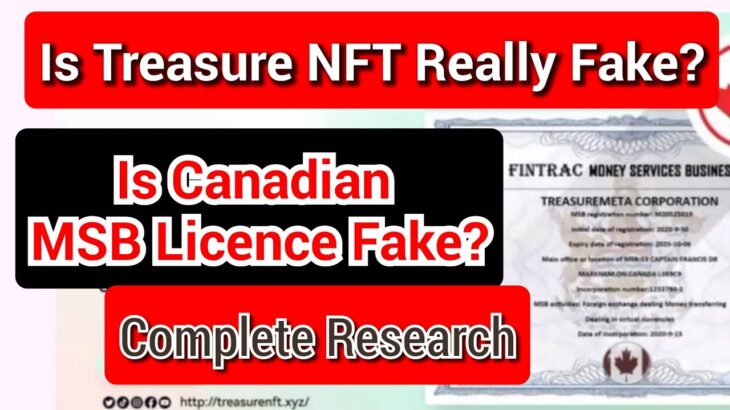 Treasure NFT licence real or fake । Complete research । Is Cappo FX inc.  TREASUREMETA CORPORATION?