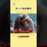 一会给瘾君子吃出糖尿病了#绝命糖师