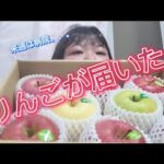 【糖尿病】【雑談】りんご届いたぞ～～！！！！🍎🍏