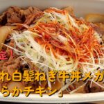 【１型糖尿】今日の昼ご飯の血糖値は？すき家「赤だれ白髪ねぎ牛丼メガ盛り」「やわらかチキン」【車中飯】【食レポ】