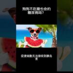 為什麼狗狗不吃糖也會得糖尿病？