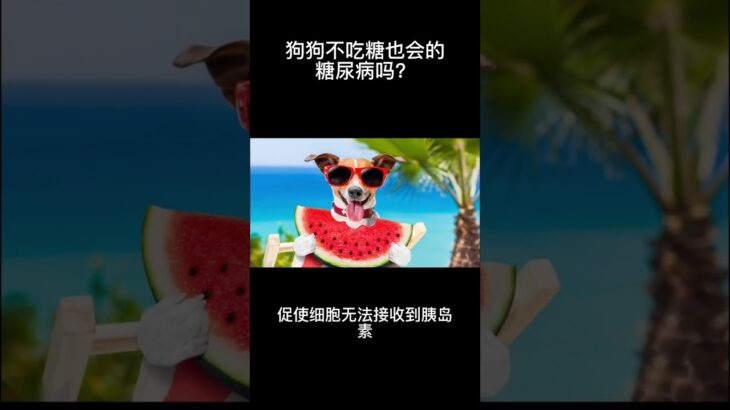 為什麼狗狗不吃糖也會得糖尿病？