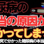 糖尿病の本当の原因はインスリン不足ではなかった！？最新研究が明かす衝撃の事実と対策法徹底解説！