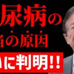 【武田邦彦】※米を減らすと悪くなる※ 糖尿病の本当の原因をついに突き止めた！！