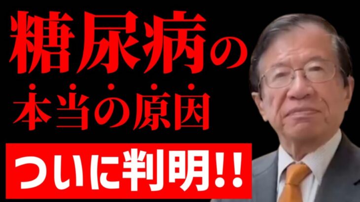 【武田邦彦】※米を減らすと悪くなる※ 糖尿病の本当の原因をついに突き止めた！！