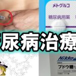 【ゆっくり解説】糖尿病治療薬について【高校知識でわかる】