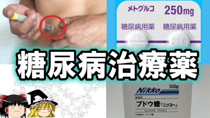 【ゆっくり解説】糖尿病治療薬について【高校知識でわかる】