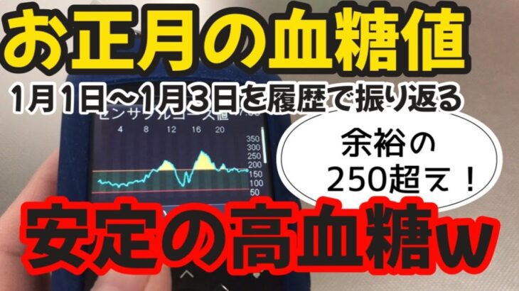 【1型糖尿病】高血糖不可避？お正月の血糖値を振り返る　ミニメドMiniMed780G使用中