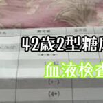 2型糖尿病42歳の血液検査