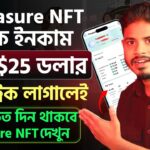 প্রতিদিন ইনকাম করুন $25 ডলার ফ্রিতে Treasure NFT থেকে | সবাই ইনকাম করছে দেখুন Treasure NFT in bangla