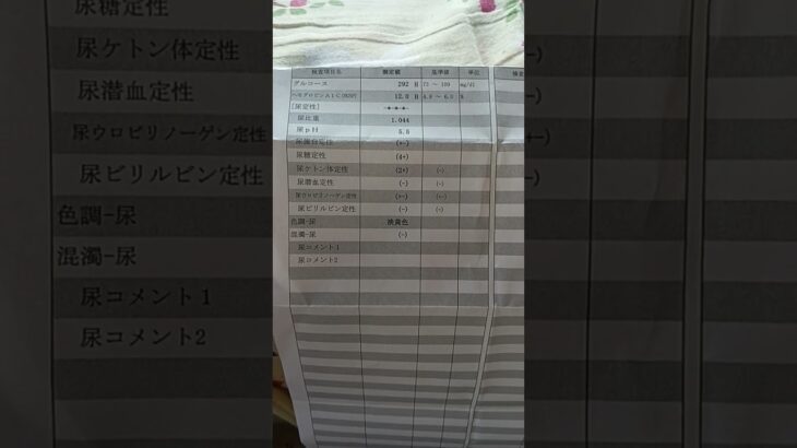 42歳糖尿病血液検査