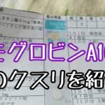 【糖尿病】ヘモグロビンA1C12%のクスリがコチラ