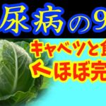 【糖尿病必見！】知らないと一生後悔！キャベツと一緒に食べるだけで血糖値&HbA1cが下がる食べ物と避けるべき食べ方【ごっそり痩せる・便秘解消・代謝アップ・がん細胞消滅・糖尿病・高齢者・血糖値】