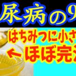 【糖尿病必見！】知らないと一生後悔！はちみつを入れるだけで血糖値&HbA1c・コレステロールが下がる食べ物と製薬会社が秘密にする知られざる健康効果を徹底解説【脂質異常症・血糖値】