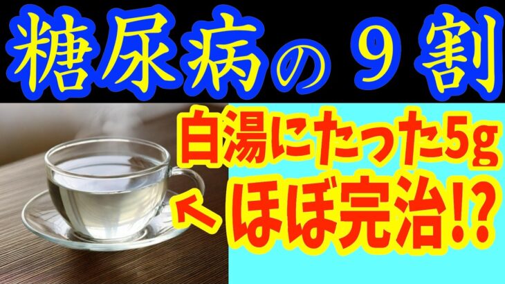 【糖尿病必見！】知らないと一生後悔！白湯に入れるだけで血糖値&HbA1cが下がる食べ物と避けるべき食べ方【ごっそり痩せる・便秘解消・代謝アップ・ダイエット効果・糖尿病・高齢者・血糖値】