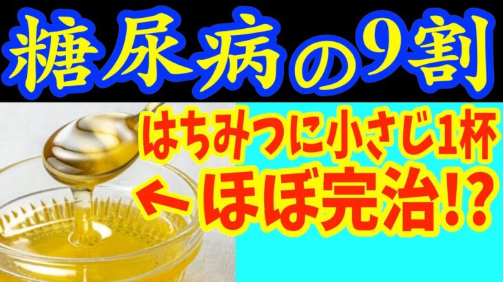 【糖尿病必見！】知らないと一生後悔！はちみつを入れるだけで血糖値&HbA1c・コレステロールが下がる食べ物と製薬会社が秘密にする知られざる健康効果を徹底解説【脂質異常症・血糖値】