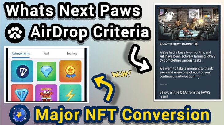 Major NFT Conversion | Paws AirDrop Criteria And Paws AirDrop Important Questions