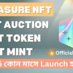 NFT Auction, NFT Token & NFT Mint কোন মাসে Launch হবে? |  Treasure NFT 2025 Update |