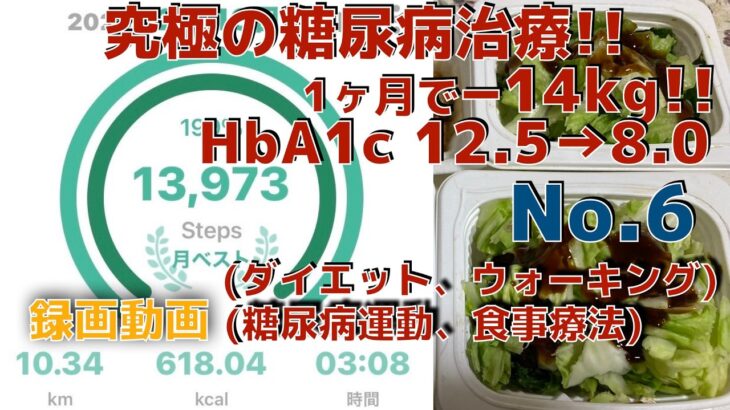 究極の糖尿病治療！！　　No.6  　　   1ヶ月で−14kg！！　　HbA1c 12.5→8.0 　　(ダイエット、ウォーキング、糖尿病運動、食事療法)