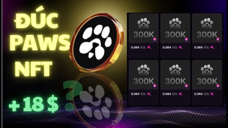 PAWS NFT VÀ 18$ CÁI NÀO TỐT HƠN? – HƯỚNG DẪN ĐÚC PAWS VOUCHER NFT !!!