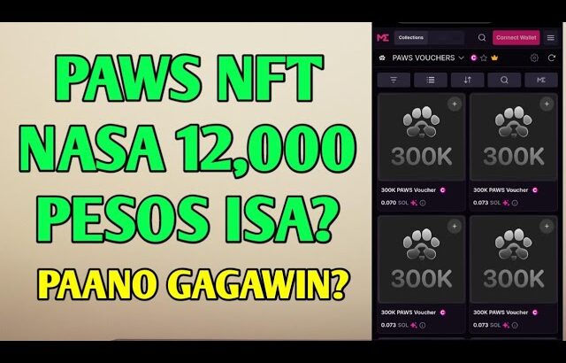 PAWS NFT VOUCHER UPDATE | NAG 12,000 PESOS ISA? PAANO GAGAWIN?