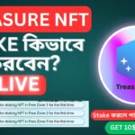 Treasure NFT Stake কিভাবে করবেন | Treasure Stake করলে পাবেন Extra Bonus | Exclusive Stake |