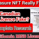 Treasure NFT licence real or fake । Complete research । Is Cappo FX inc.  TREASUREMETA CORPORATION?