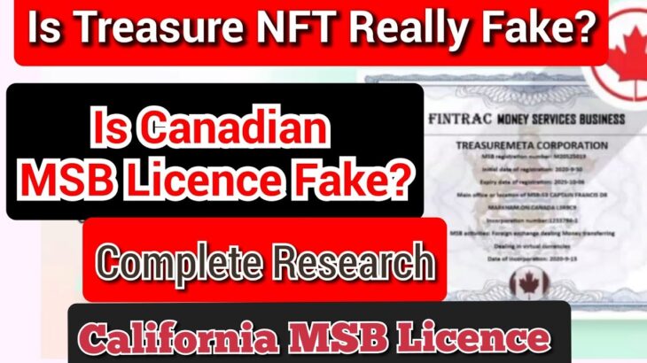 Treasure NFT licence real or fake । Complete research । Is Cappo FX inc.  TREASUREMETA CORPORATION?