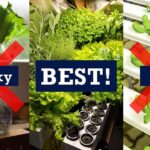 Why this Hydroponic System is better than NFT or Kratky