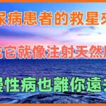 糖尿病患者的救星來了！每天吃它就像注射天然胰島素，慢性病也離你遠去！