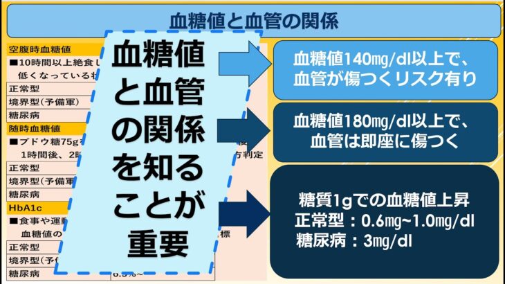 血糖値と関係の深い糖尿病と糖尿病合併症についての話。血糖値の基礎的な知識を得ることで、不定愁訴、生活習慣病、いろいろな病気を予防、改善できるのです。血糖値の乱高下がほとんどの病気と関係しているのです。