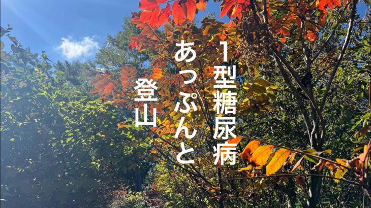 【糖尿病と登山】今年もよろしくお願いいたします