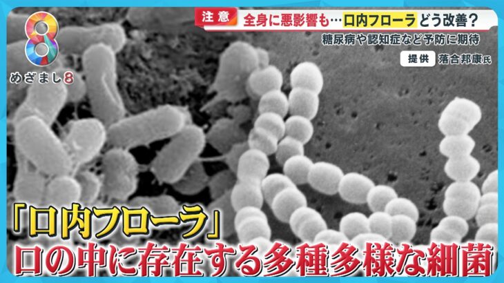 全身に悪影響も…注目される「口内フローラ」どう改善？糖尿病や認知症など予防に期待【めざまし８ニュース】