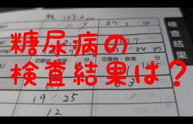 【糖尿病】新年から内科に行き、糖尿病の検査をしてきました🏥👩‍⚕️💉🩸