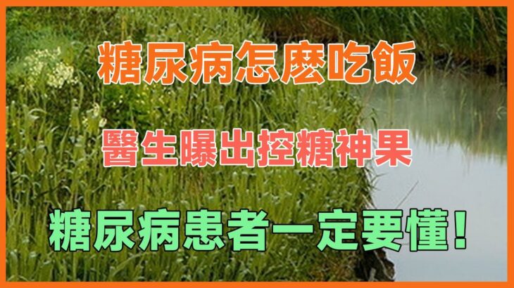 糖尿病怎麽吃飯，才不忌口又健康？醫生曝出控糖神果，糖尿病患者一定要懂！#健康 #養生 #幸福生活 #人生哲理 #養老 #晚年幸福