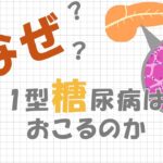 糖尿病の専門医が監修～なぜ1型糖尿病が起こるのか？～【教えて医誠会】