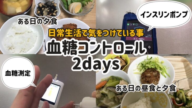 【1型糖尿病】日常生活で特に気をつけている事　二日間の食事内容と血糖コントロール