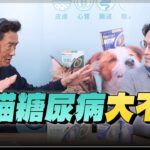 ‘25.02.10【全能狗S 寵物當家】宋子揚獸醫師談「犬貓糖尿病大不同」